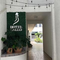 Hotel Gallo